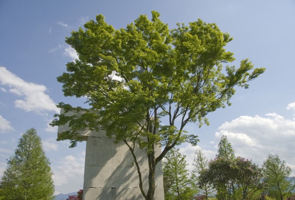 Tree Museum / Enea Garden Design