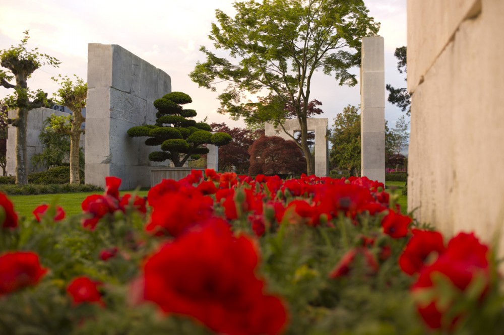 Tree Museum / Enea Garden Design
