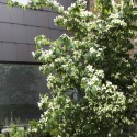 South London Gallery / 6a Architects South London Gallery / 6a Architects © 6a Architects