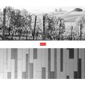Marof Winery / Studio Kalamar © Studio Kalamar