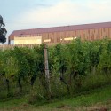Marof Winery / Studio Kalamar © Studio Kalamar