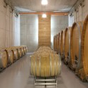 Marof Winery / Studio Kalamar © Studio Kalamar