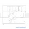 corte transversal corte transversal section