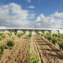 Qumran Winery - Konkrit Blu Arquitectura