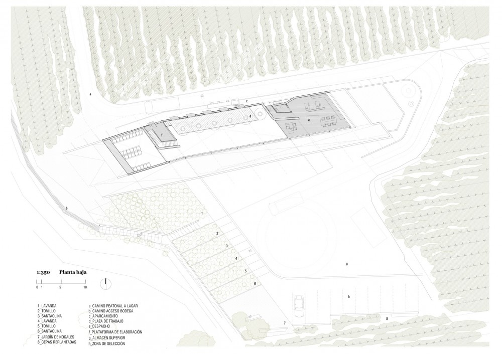 Qumran Winery - Konkrit Blu Arquitectura lower floor plan