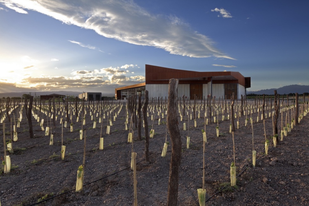 Navarro Correas Winery / aft Arquitectos