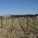 Navarro Correas Winery - aft Arquitectos Navarro Correas Winery - aft Arquitectos © Claudio Manzoni