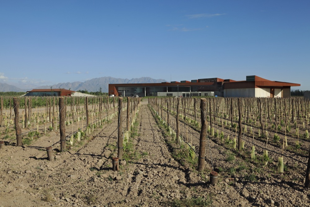 Navarro Correas Winery / aft Arquitectos