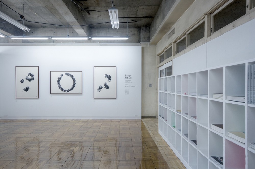 +81 Gallery + Lab - Upsetters Architects © Yusuke Wakabayashi