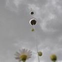 DSC_0056 © MetamorphOse