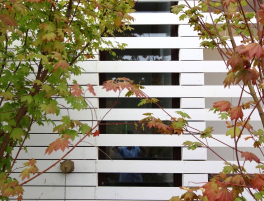 House - Colman Triplex - Workshop Architecture|Design
