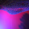 ICUP DETAIL 1 © APHIDoIDEA