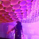 ICUP_ABSTRACT 3 © APHIDoIDEA