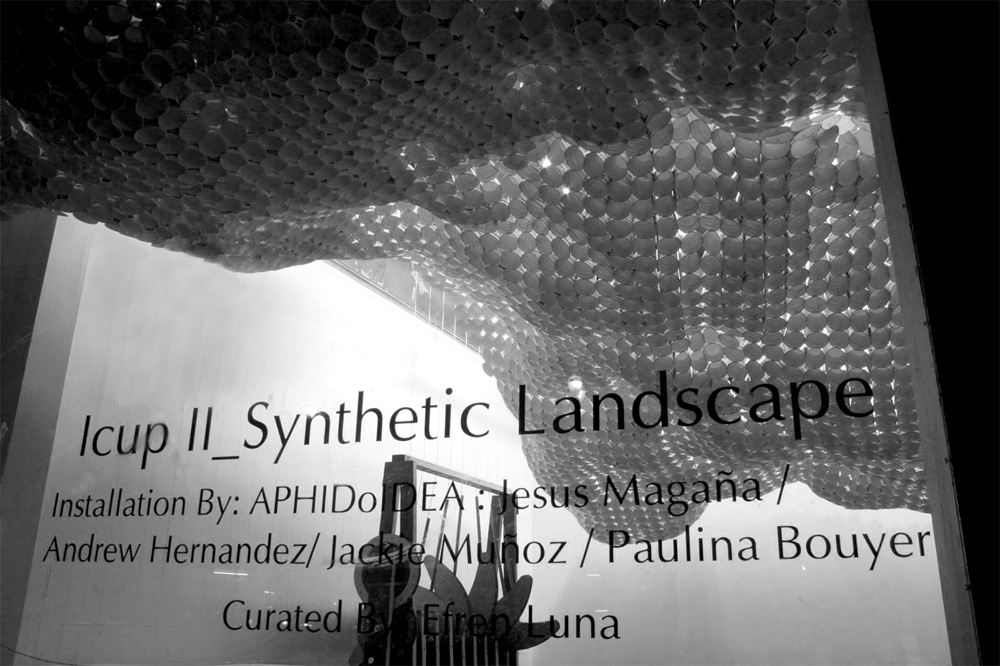 ICUP_LS ON_ © APHIDoIDEA