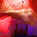 ICUP PANORAMA © APHIDoIDEA