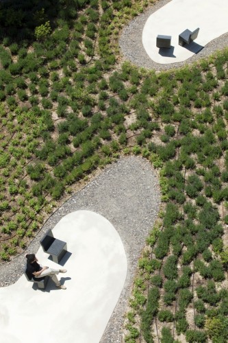 Landscape - O'Donnell Garden - Estudio Caballero Colón