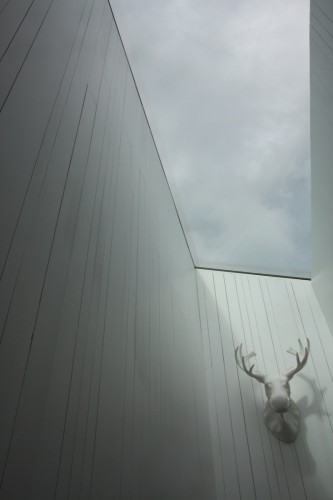 House on a Cliff - Petra Gipp Arkitektur