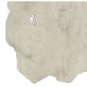 site plan site plan