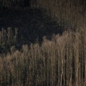 House - Prefabricated Nature - MYCC © FG+SG – Fernando Guerra, Sergio Guerra