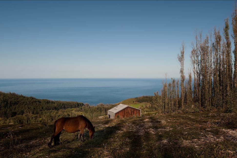 House - Prefabricated Nature - MYCC © FG+SG – Fernando Guerra, Sergio Guerra