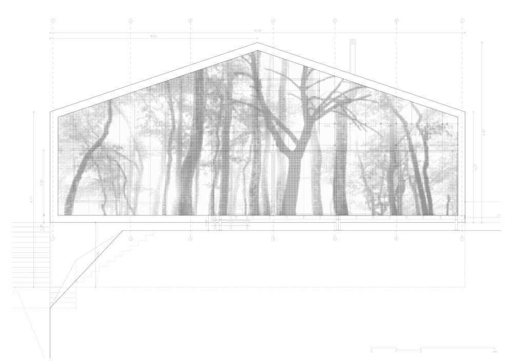 elevation elevation