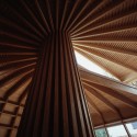 Wooden - Tree House - Mount Fuji Architects Studio © Ken'ichi Suzuki