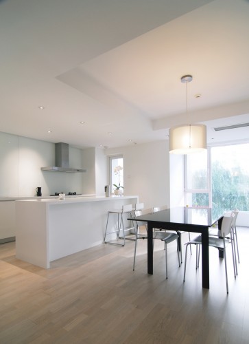 Interior - Apartment 3E - Vector Architects