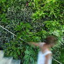 Adelaide Zoo Entrance Precinct - Hassell