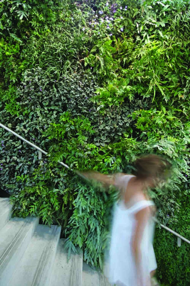 Adelaide Zoo Entrance Precinct - Hassell © Edward Mitchell