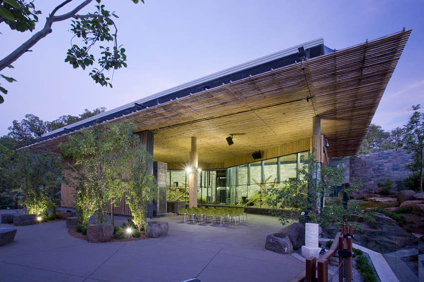 Adelaide Zoo Giant Panda Forest / Hassell