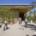 Adelaide Zoo Giant Panda Forest - Hassell Adelaide Zoo Giant Panda Forest - Hassell © Ben Wrigley