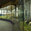 Adelaide Zoo Giant Panda Forest - Hassell Adelaide Zoo Giant Panda Forest - Hassell © Ben Wrigley