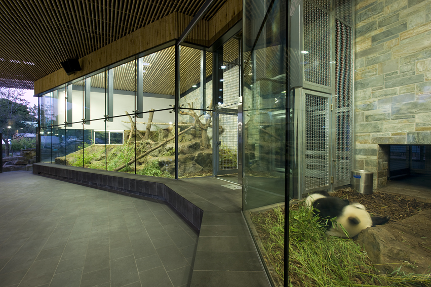 Adelaide Zoo Giant Panda Forest / Hassell
