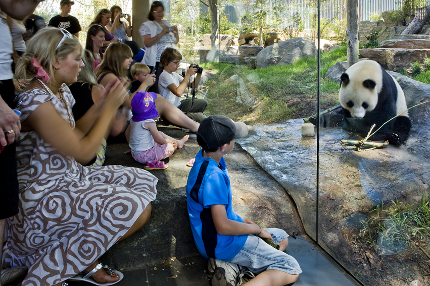 Adelaide Zoo Giant Panda Forest / Hassell