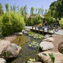 Adelaide Zoo Giant Panda Forest - Hassell Adelaide Zoo Giant Panda Forest - Hassell © Ben Wrigley
