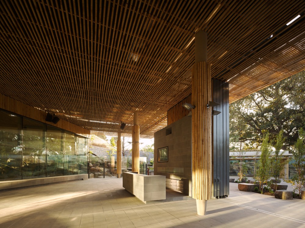 Adelaide Zoo Giant Panda Forest / Hassell
