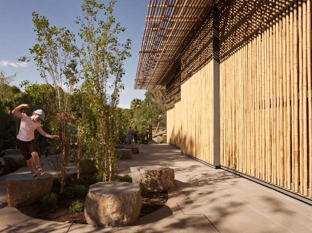 Adelaide Zoo Giant Panda Forest - Hassell © Peter Bennetts