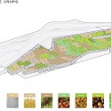 MIL-dia-FINAL_PUBLISH-FARM FACADE CROPS Farm Facade Crops © Studio Shift