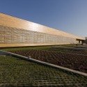 Riberão Swimming Pools - Pitagoras Arquitectos © Luis Ferreira Alves