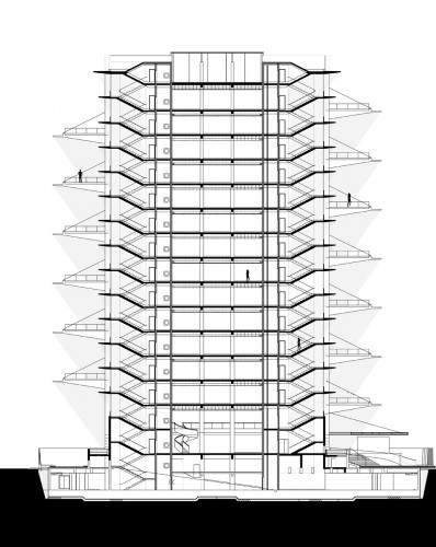 section