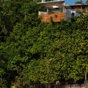 House in Ubatuba - SPBR Arquitetos © Nelson Kon