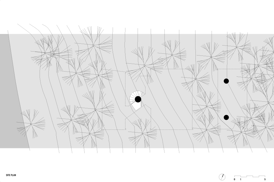 site plan site plan