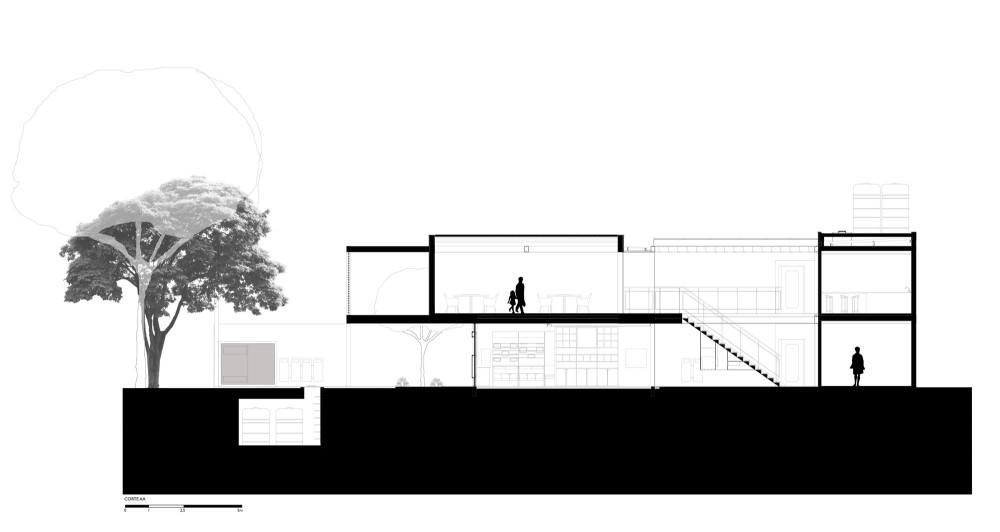 section section