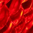Red-PICT-effect-02 Red-PICT-effect-02 PICT® by FRED&FRED® - © Morgan Le Guen