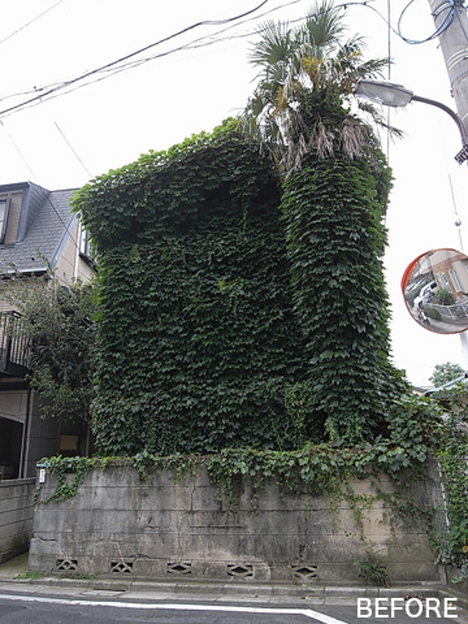 IVY House / SPEAC before