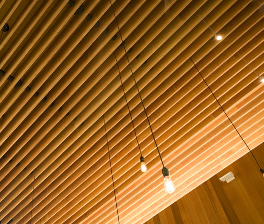 House - Artreehoose - Della Valle Bernheimer © Richard Barnes