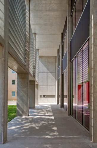 Doyle Hall - Specht Harpman