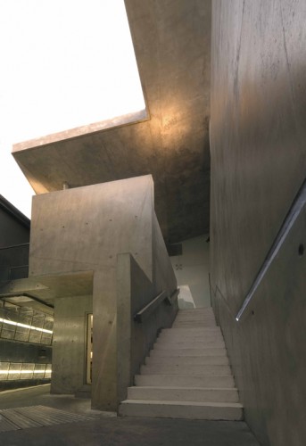 Egans Juice Bar & Roof Terrace - Architecture 53seven