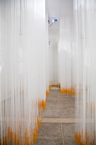 Hungarian Pavilion - Venice Biennale