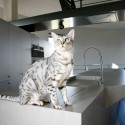 Chateau d'eau - Bham Design Studio © Courtesy of Bham Design Studio